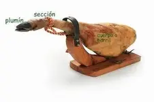 jamón I.webp