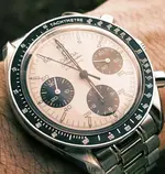 omega panda.webp