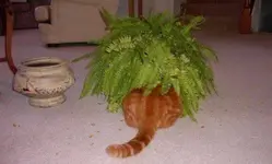 1303118310154.webp