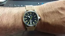 omega.webp