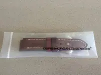 IMG_0451.webp IMG_0451.webp