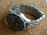 PRAETORIANSignifer6.webp