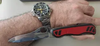 victorinox.webp