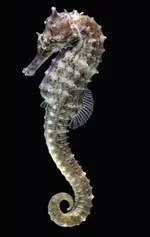 37C01BC8-58F3-447C-A1FD-566932B4D7FC.webp