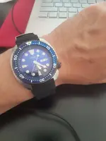 16535785846643661476656929616657.webp