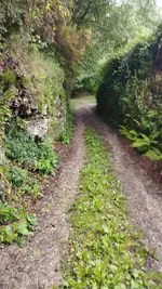 IMG-20220608-WA0059.webp