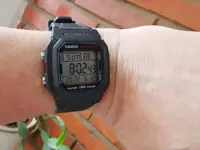 Casio.webp
