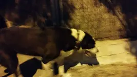 IMG-20220613-WA0138.webp