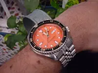 P1010443.webp