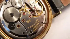 56e78a32-3be1-11e6-8905-e9eaf0f2af7b (Medium).webp