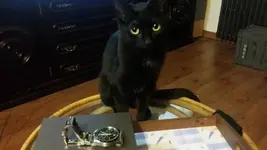 2016-06-24 00.05.21.webp