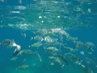 PSN20160712-4031.webp