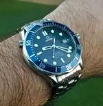 WP_20160722_008 (3) ().webp