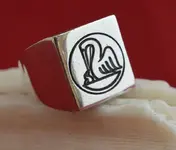anillo plk.webp