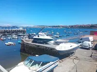IMG_20220730_123852.webp