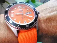 IMG_20160729_092059.webp