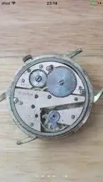 image.webp