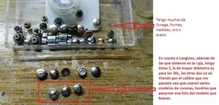 foto1.webp
