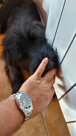 20220815_094024.webp