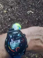 16606711425286061891016746345959.webp