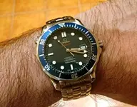 WP_20160725_009 (2).webp