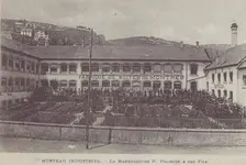 fraini15.webp fraini15.webp