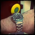 amphibia_2.webp