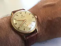 festina.webp