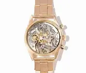 Pre-Daytona back.webp