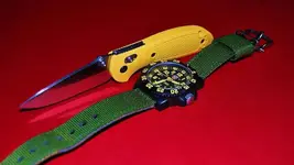yellow & greim.webp