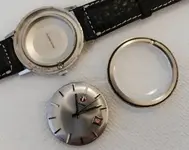 rado_1.webp