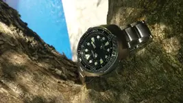 SEIKO PROSPEX ARBOL.webp