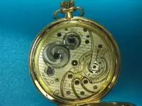 CYMA_003.webp CYMA_003.webp