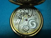 CYMA_004.webp CYMA_004.webp