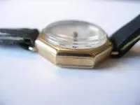 P2101371.webp