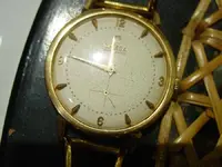 DSC00464.webp