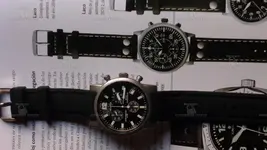 P1010582 (con marca de agua).webp