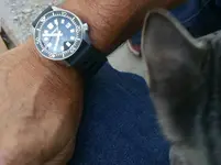 2016-08-04 08.08.12.webp