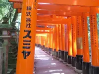 image.webp