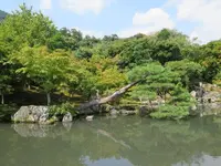 image.webp