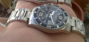 DSC_1231 - copia.webp