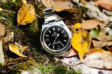 Rolex Explorer.webp