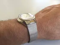 Orient2.webp