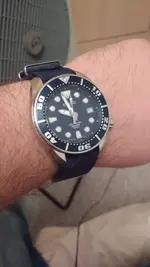 WhatsApp Image 2016-08-16 at 21.57.39.webp