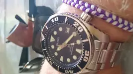 14728043449772068662013.webp
