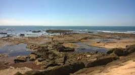 WP_20160821_002.webp