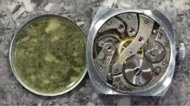 movimbulova1.webp movimbulova1.webp