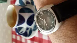 Roamer Anfibio Matic.webp