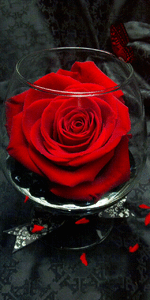 03b504510fc63ab4b0e97065dd898523.gif