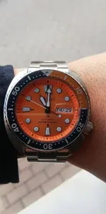 16723080233298873508782516716228.webp